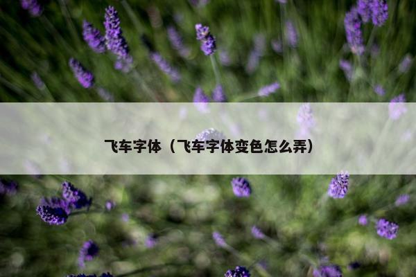 飞车字体（飞车字体变色怎么弄）