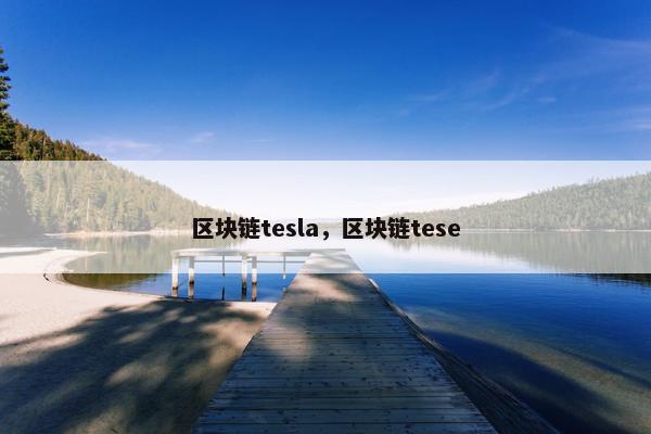 区块链tesla，区块链tese