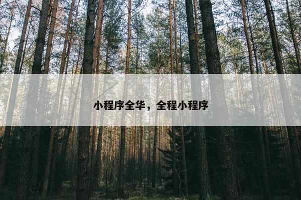 小程序全华，全程小程序