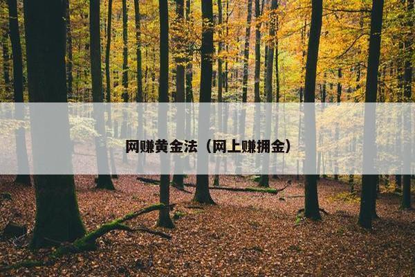 网赚黄金法（网上赚拥金）