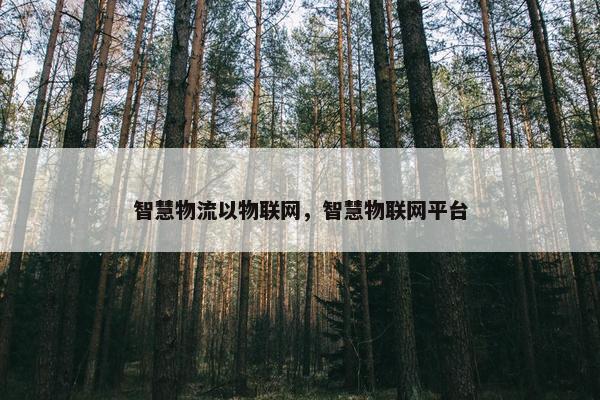智慧物流以物联网，智慧物联网平台