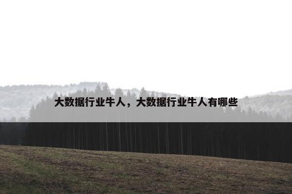 大数据行业牛人，大数据行业牛人有哪些