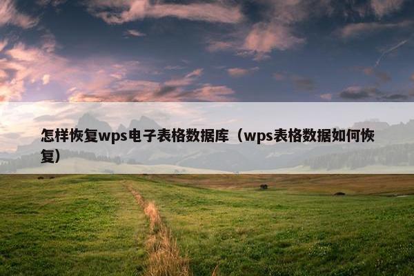 怎样恢复wps电子表格数据库（wps表格数据如何恢复）