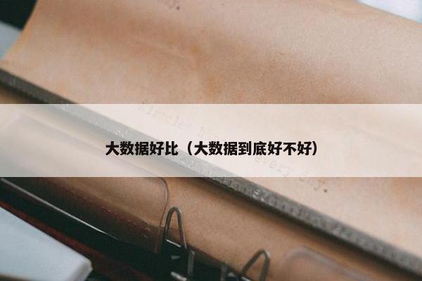 大数据好比（大数据到底好不好）
