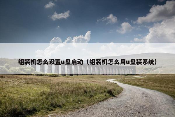组装机怎么设置u盘启动（组装机怎么用u盘装系统）