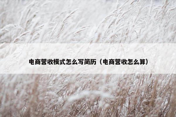 电商营收模式怎么写简历（电商营收怎么算）