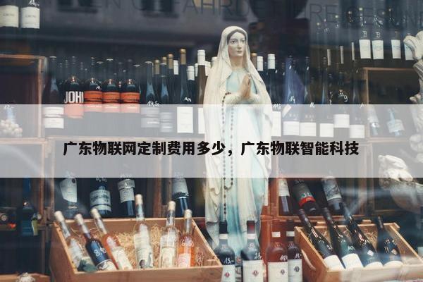广东物联网定制费用多少，广东物联智能科技