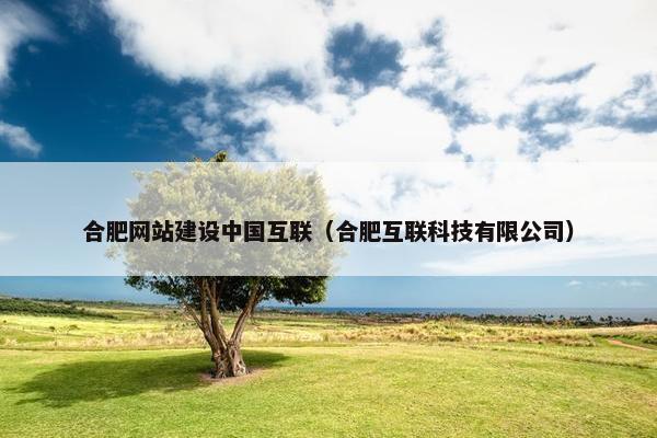 合肥网站建设中国互联（合肥互联科技有限公司）