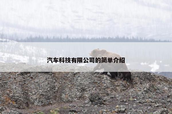 汽车科技有限公司的简单介绍