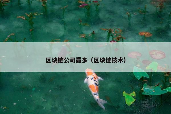区块链公司最多（区块链技术）