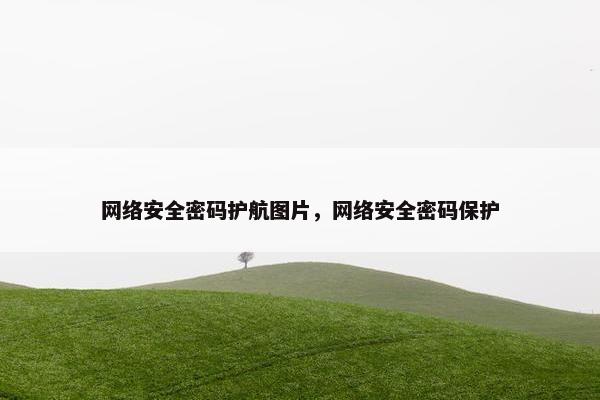 网络安全密码护航图片，网络安全密码保护