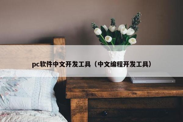 pc软件中文开发工具（中文编程开发工具）
