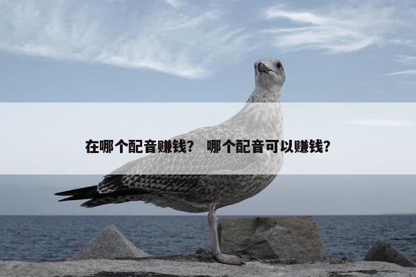 在哪个配音赚钱？ 哪个配音可以赚钱？