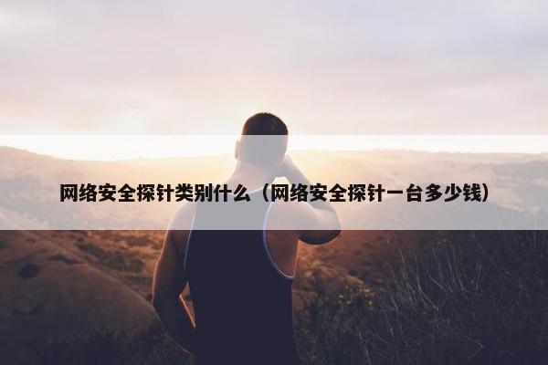 网络安全探针类别什么（网络安全探针一台多少钱）