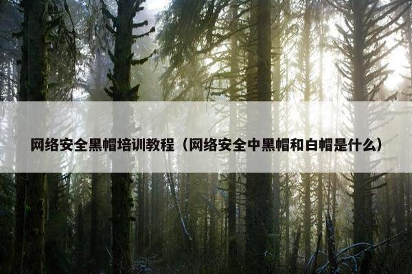 网络安全黑帽培训教程（网络安全中黑帽和白帽是什么）