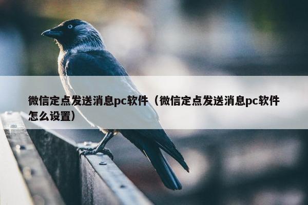 微信定点发送消息pc软件（微信定点发送消息pc软件怎么设置）