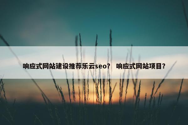响应式网站建设推荐乐云seo？ 响应式网站项目？