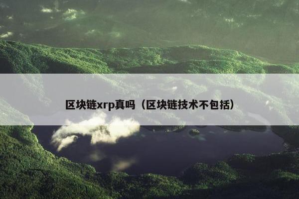 区块链xrp真吗（区块链技术不包括）