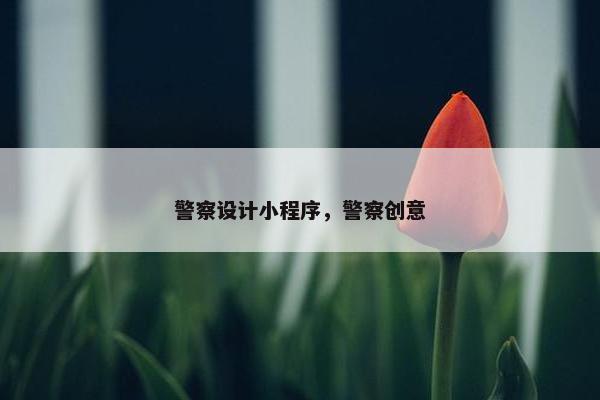 警察设计小程序，警察创意