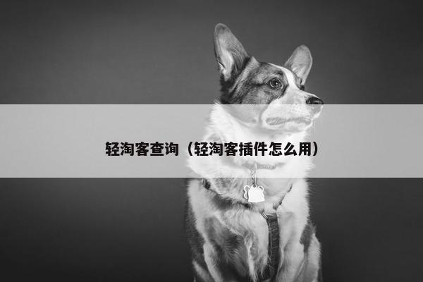 轻淘客查询（轻淘客插件怎么用）