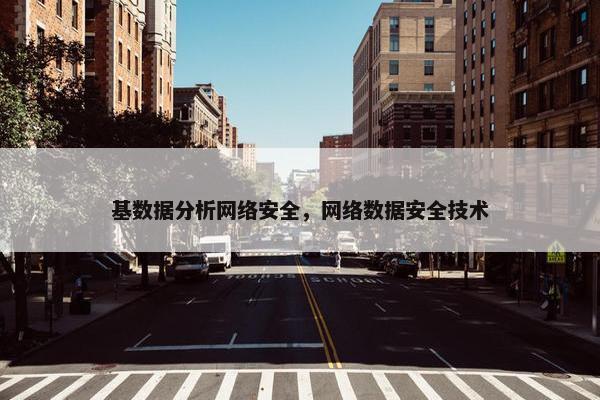 基数据分析网络安全，网络数据安全技术