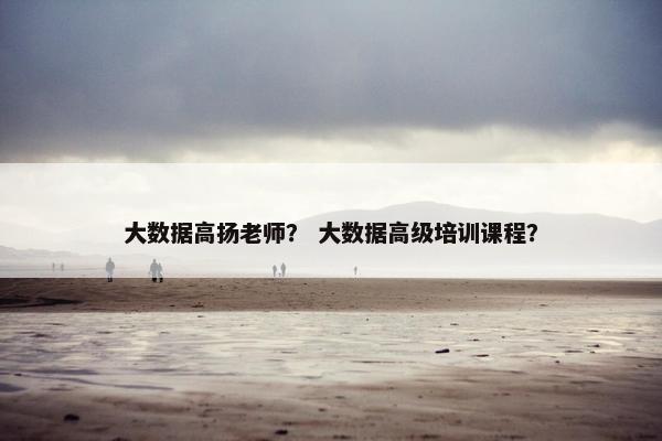 大数据高扬老师？ 大数据高级培训课程？
