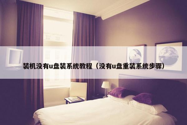 装机没有u盘装系统教程（没有u盘重装系统步骤）