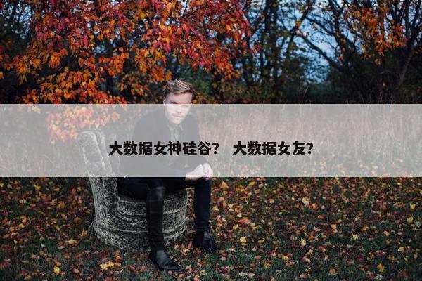大数据女神硅谷？ 大数据女友？
