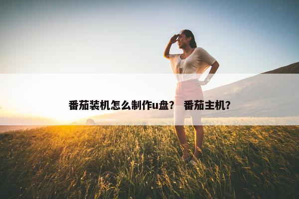番茄装机怎么制作u盘？ 番茄主机？