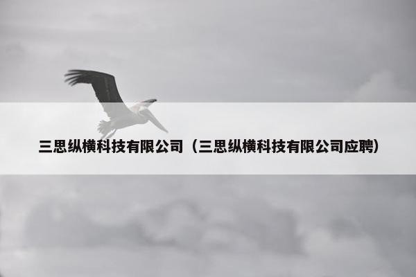 三思纵横科技有限公司（三思纵横科技有限公司应聘）