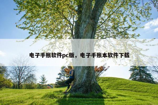 电子手账软件pc版，电子手账本软件下载