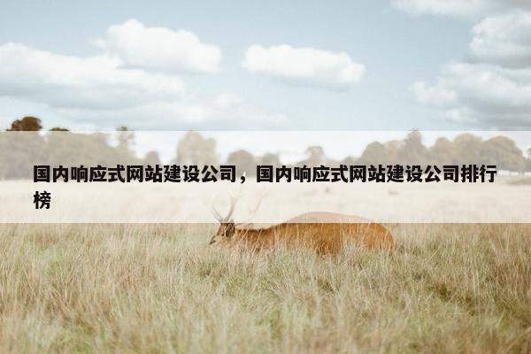 国内响应式网站建设公司，国内响应式网站建设公司排行榜