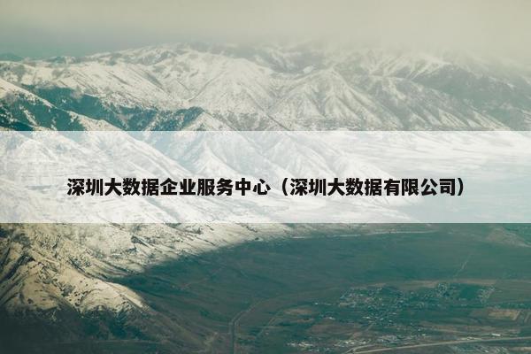 深圳大数据企业服务中心（深圳大数据有限公司）