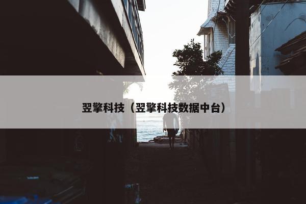 翌擎科技（翌擎科技数据中台）