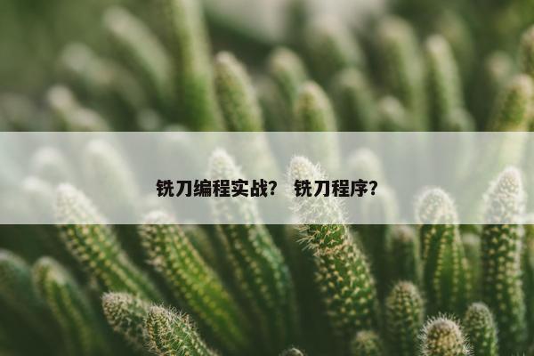 铣刀编程实战？ 铣刀程序？