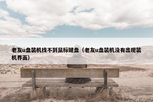 老友u盘装机找不到鼠标键盘（老友u盘装机没有出现装机界面）