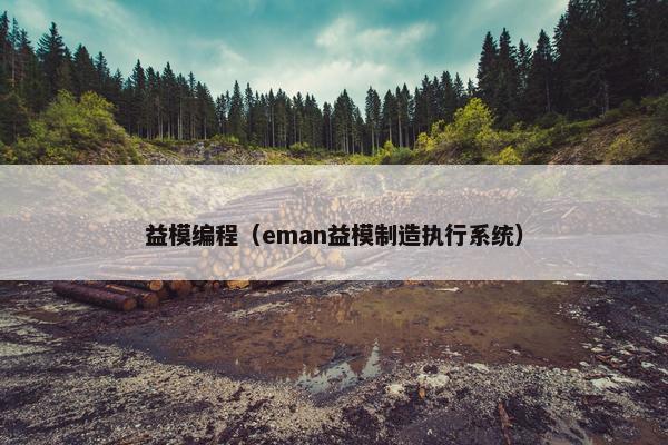 益模编程（eman益模制造执行系统）