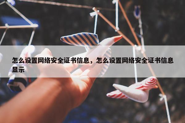 怎么设置网络安全证书信息，怎么设置网络安全证书信息显示