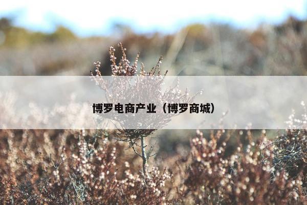 博罗电商产业（博罗商城）