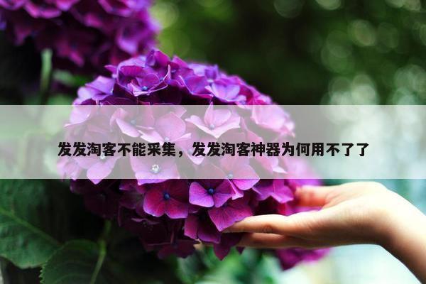 发发淘客不能采集，发发淘客神器为何用不了了