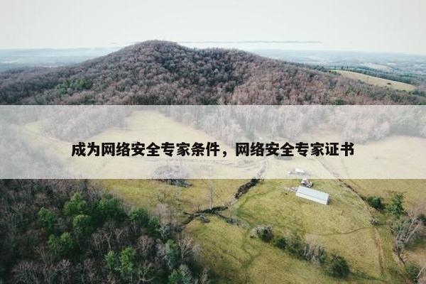 成为网络安全专家条件，网络安全专家证书