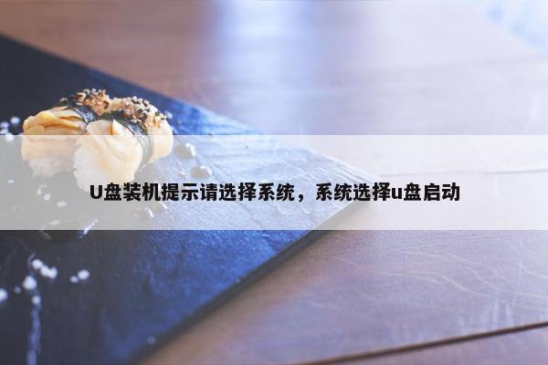 U盘装机提示请选择系统，系统选择u盘启动