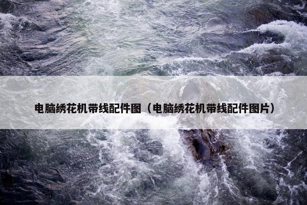电脑绣花机带线配件图（电脑绣花机带线配件图片）