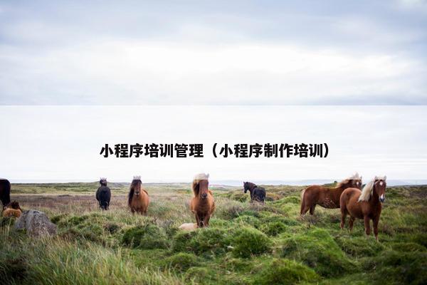 小程序培训管理（小程序制作培训）