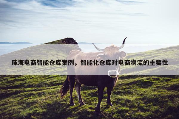 珠海电商智能仓库案例，智能化仓库对电商物流的重要性