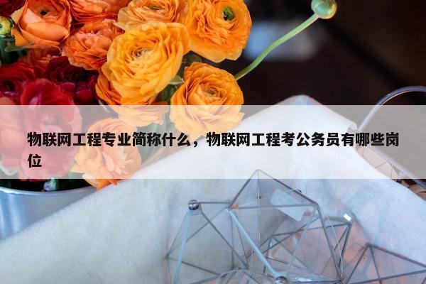 物联网工程专业简称什么，物联网工程考公务员有哪些岗位