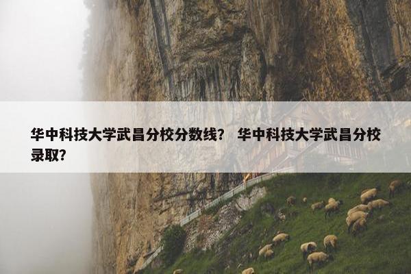 华中科技大学武昌分校分数线？ 华中科技大学武昌分校录取？
