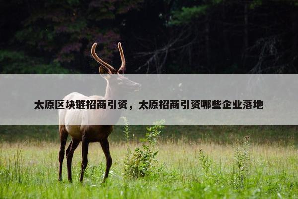太原区块链招商引资，太原招商引资哪些企业落地