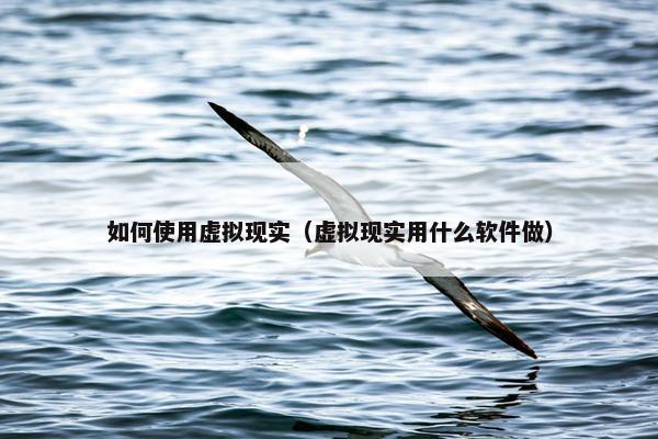 如何使用虚拟现实（虚拟现实用什么软件做）