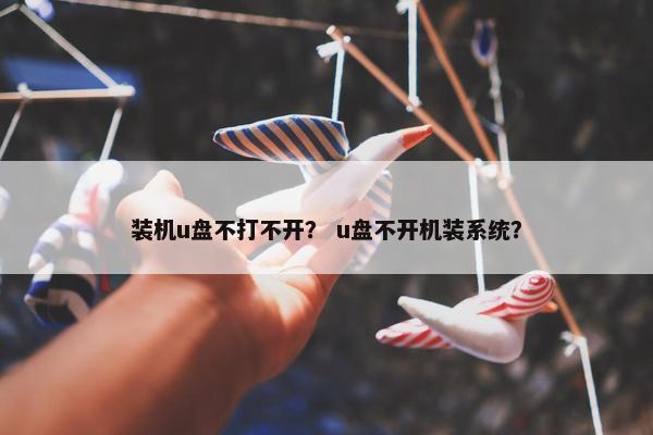 装机u盘不打不开？ u盘不开机装系统？